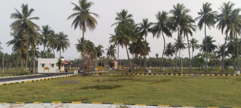 Residential Plot for Sale in Thiruporur, Chennai (1163 Sq.ft.)