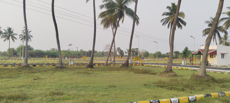Residential Plot for Sale in Thiruporur, Chennai (1575 Sq.ft.)