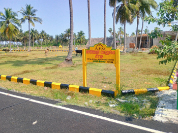 Residential Plot for Sale in Chengalpet, Chennai (1748 Sq.ft.)