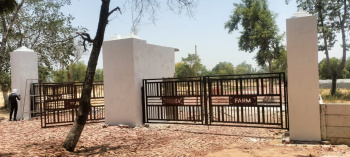 1250 Sq.ft. Residential Plot for Sale in Sultanpur Road, Lucknow