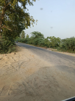Agricultural/Farm Land for Sale in Safdarganj, Barabanki (150 Bigha)