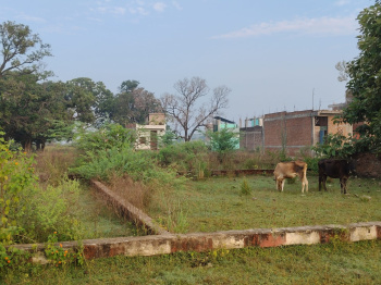150 Sq. Yards Residential Plot for Sale in Yamuna Expressway, Greater Noida