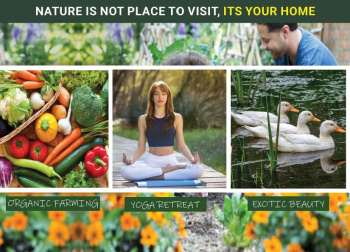 100 Sq. Yards Residential Plot For Sale In Yamuna Expressway, Greater Noida