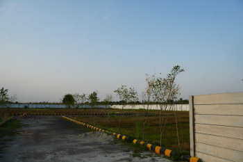Residential Plot For Sale In Solra, Palwal (100 Sq. Yards)