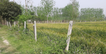 22 Bigha Agricultural/Farm Land for Sale in Behat, Saharanpur