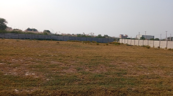 500 Sq. Yards Residential Plot for Sale in Sector 76, Faridabad