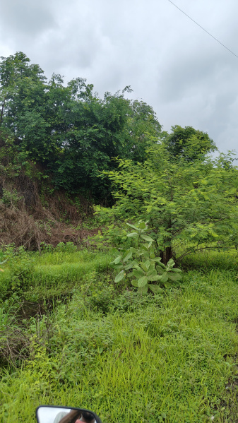 Agricultural/Farm Land For Sale In Khalapur, Raigad (20 Guntha)