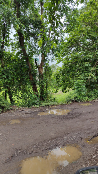 Property for sale in Bhokarpada, Navi Mumbai