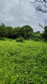 92 Guntha Agricultural/Farm Land for Sale in Ambernath, Thane