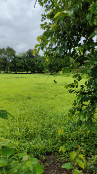 50 Guntha Agricultural/Farm Land for Sale in Ambernath, Thane