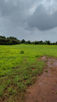 Agricultural/Farm Land for Sale in Vangani, Thane (120 Guntha)