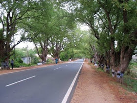 Urli Kanchan, Sholapur highway road touch 14000 sq ft Agriculture land for sale