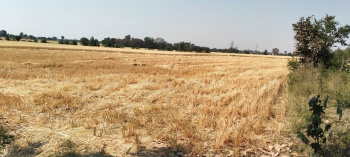 6 Acre Residential Plot for Sale in Jhagariya Khurd, Bhopal