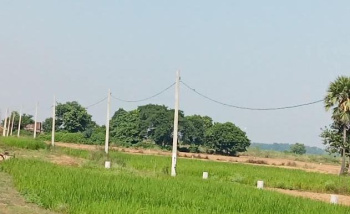 1200 Sq.ft. Residential Plot for Sale in Bihta, Patna