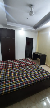 1 BHK Builder Floor for Rent in Chattarpur, Delhi (250 Sq.ft.)