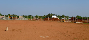 Residential Plot for Sale in Panjapur, Tiruchirappalli (1201 Sq.ft.)