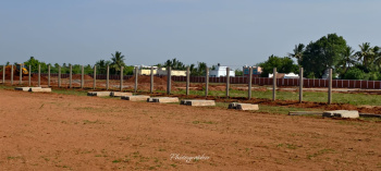Property for sale in Panjapur, Tiruchirappalli