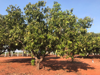 Property for sale in Viralimalai, Tiruchirappalli