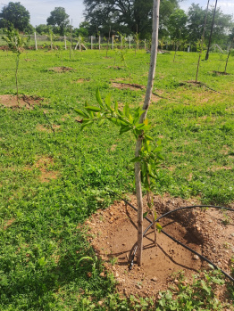 Property for sale in Samayapuram, Tiruchirappalli