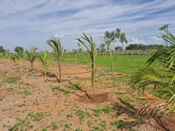 Property for sale in Samayapuram, Tiruchirappalli