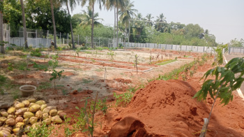 Property for sale in No 1 Tollgate, Tiruchirappalli