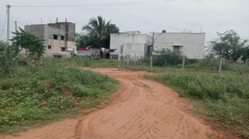 Residential Plot for Sale in Samayapuram, Tiruchirappalli (1200 Sq.ft.)
