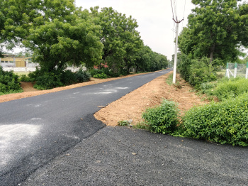 Residential Plot for Sale in Akkaraipatti, Tiruchirappalli (1200 Sq.ft.)