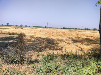 9 Acre Industrial Land / Plot For Sale In Jagadhri, Yamunanagar