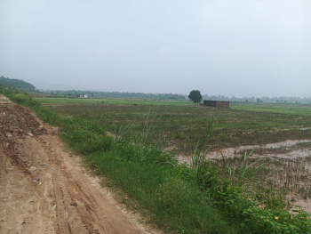 Agricultural/Farm Land For Sale In HSIIDC Manakpur Industrial Area, Yamunanagar (20 Sq.ft.)
