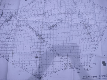 Agricultural/Farm Land for Sale in Jagadhri, Yamunanagar (15 Acre)