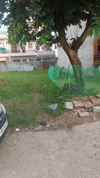 Commercial Lands /Inst. Land for Sale in TDI City, Mohali (250 Sq.ft.)