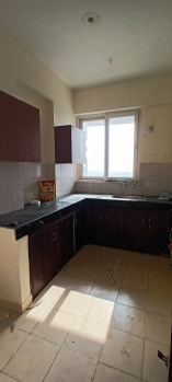 Property for sale in Sector 117 Mohali