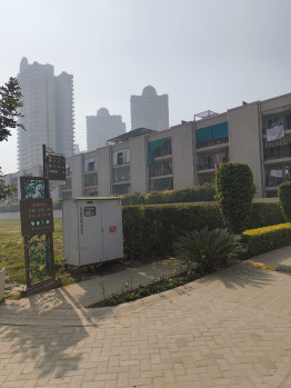 Flats & Apartments for Sale in Sector 70A, Gurgaon (2493 Sq.ft.)