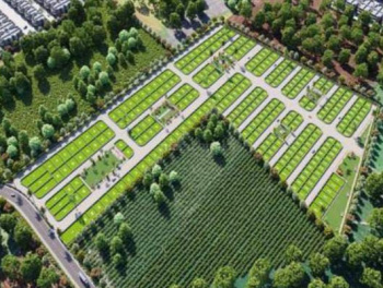 245 Sq. Yards Residential Plot For Sale In Dholera, Ahmedabad