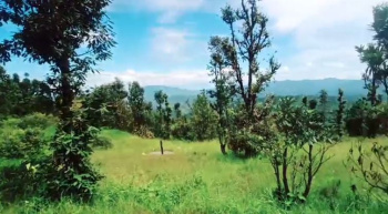 7200 Sq. Yards Residential Plot for Sale in Lamgara, Almora