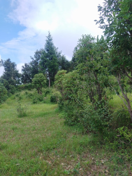 12000 Sq. Yards Residential Plot for Sale in Lamgara, Almora
