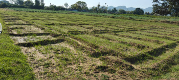 Property for sale in Sanchore, Jalor