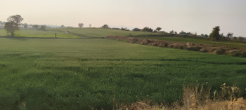 Property for sale in Raniwara, Jalor