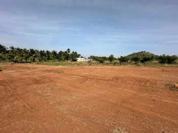 10000 Sq.ft. Residential Plot for Sale in Annur, Coimbatore