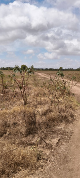 22 Acres Dry Agri Land in Sulur, Kannampalayam