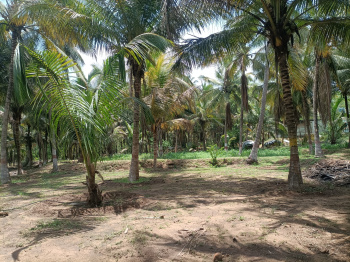 Property for sale in Kinathukadavu, Coimbatore