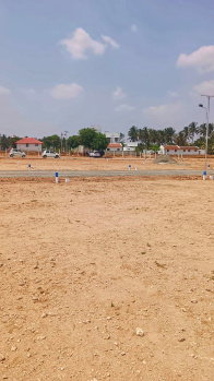 8700 Sq.ft. Agricultural/Farm Land for Sale in Kinathukadavu, Coimbatore (8500 Sq.ft.)