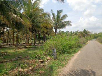 8700 Sq.ft. Agricultural/Farm Land for Sale in Kinathukadavu, Coimbatore
