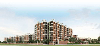 229 Sq.ft. Commercial Shops for Sale in Sector 6, Gurgaon