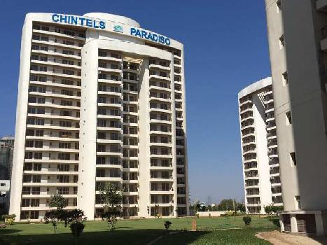 3 BHK Flat for Sale in Sector-109, Gurgaon