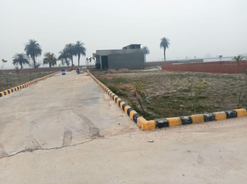 400 Sq. Yards Residential Plot for Sale in Solra, Palwal