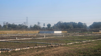 Property for sale in Bihta, Patna