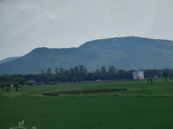 1800 Sq.ft. Residential Plot for Sale in Rajgir, Nalanda