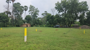 Property for sale in Turki, Muzaffarpur