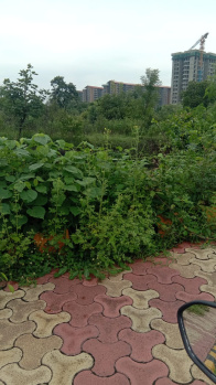 125 Acre Agricultural/Farm Land for Sale in Mihan, Nagpur